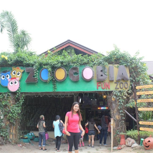 7 Activities and Attractions at Zoocobia, Pampanga